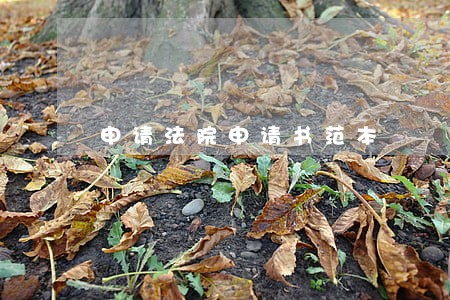 申请法院申请书范本 申请法院申请书范本
