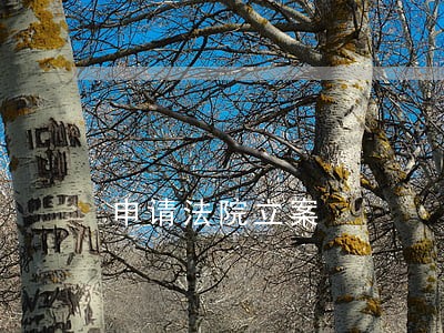 申请法院立案