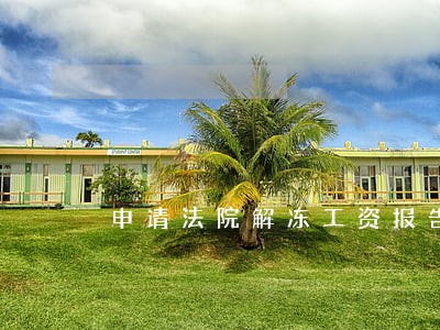 申请法院解冻工资报告