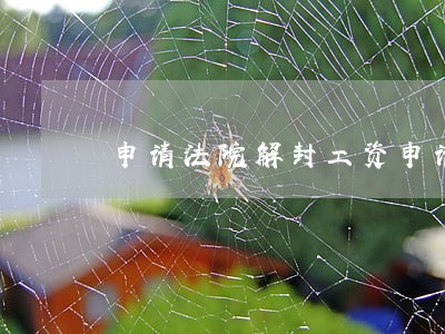 申请法院解封工资申请书 申请法院解封工资申请书