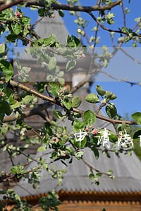 申请法院解封需要几个工作日