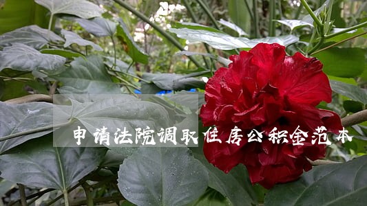 申请法院调取住房公积金范本 申请法院调取住房公积金范本