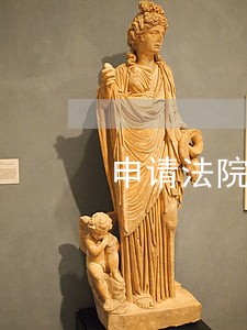 申请法院调取银行流水申请 申请法院调取银行流水申请