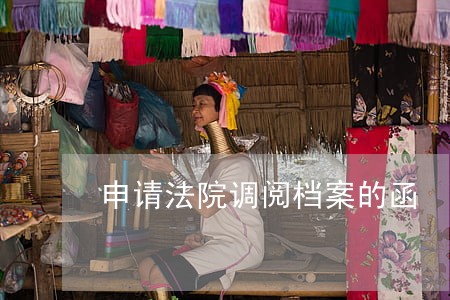 申请法院调阅档案的函 申请法院调阅档案的函