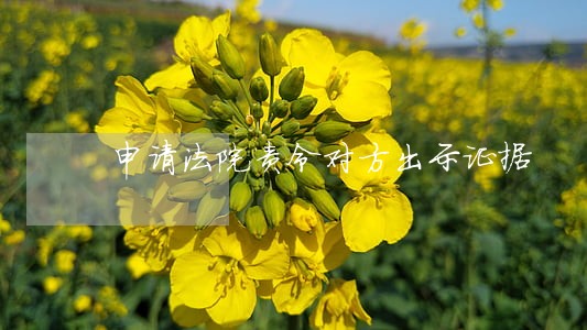 申请法院责令对方出示证据 申请法院责令对方出示证据