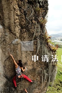 申请法院追加第三方被告 申请法院追加第三方被告