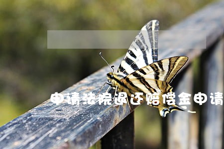申请法院退还赔偿金申请书 申请法院退还赔偿金申请书