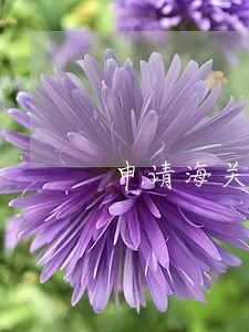 申请海关发票逾期抵扣 申请海关发票逾期抵扣