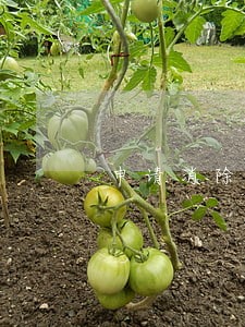 申请消除信用卡逾期记录吗
