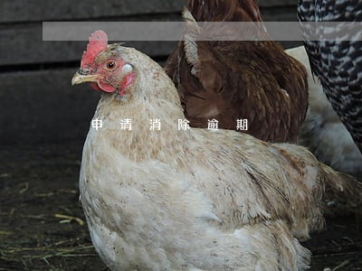 申请消除逾期 申请消除逾期
