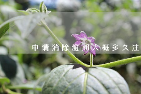 申请消除逾期大概多久注销 申请消除逾期大概多久注销