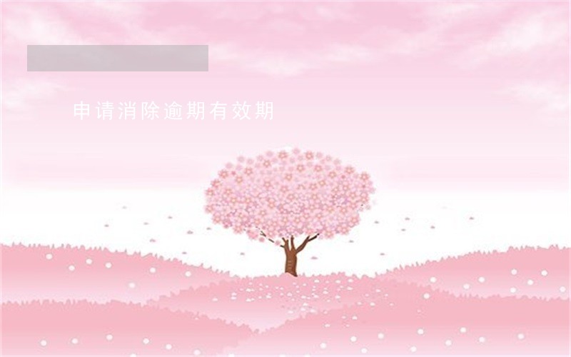 申请消除逾期有效期 申请消除逾期有效期
