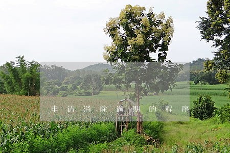 申请消除逾期的程序 申请消除逾期的程序