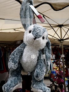 申请破产清算法院不受理怎么办 申请破产清算法院不受理怎么办
