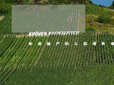 申请破产的公司债务律师
