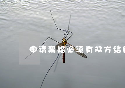 申请离婚必须有双方结婚证吗 申请离婚必须有双方结婚证吗