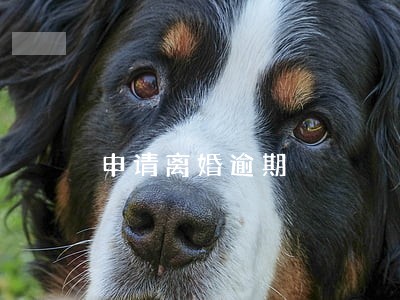 申请离婚逾期 申请离婚逾期