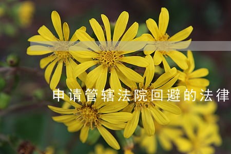 申请管辖法院回避的法律依据