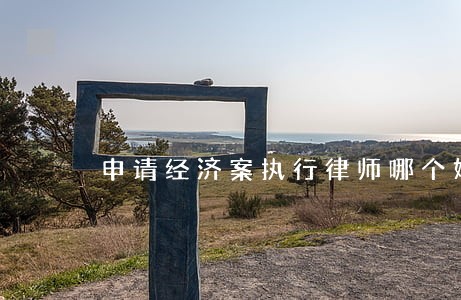 申请经济案执行律师哪个好 申请经济案执行律师哪个好