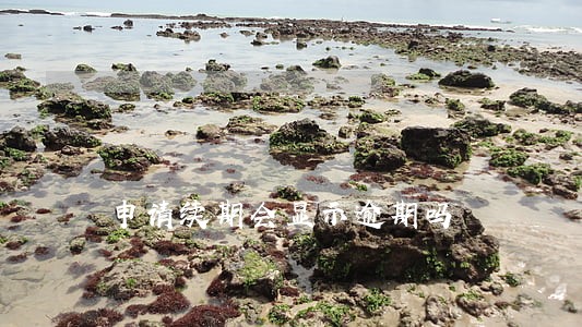 申请续期会显示逾期吗 申请续期会显示逾期吗