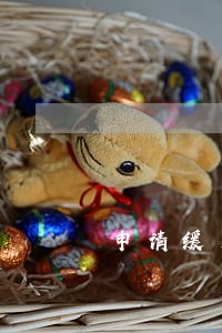 申请缓交免交诉讼费的理由 申请缓交免交诉讼费的理由