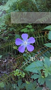 申请缺货以后显示发货逾期没事吧 申请缺货以后显示发货逾期没事吧