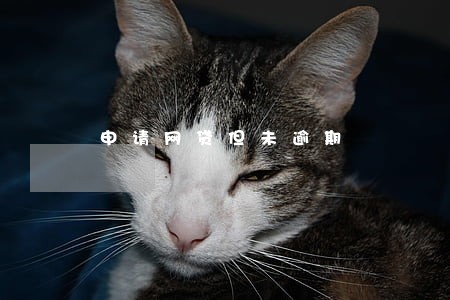 申请网贷但未逾期 申请网贷但未逾期