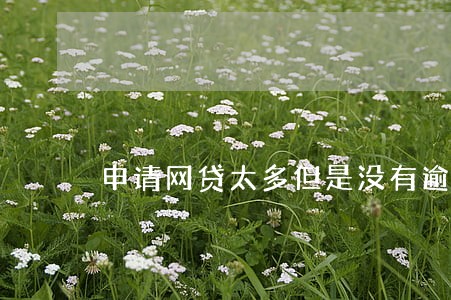申请网贷太多但是没有逾期