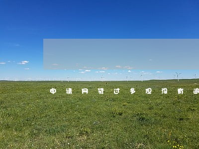 申请网贷过多但没有逾期 申请网贷过多但没有逾期