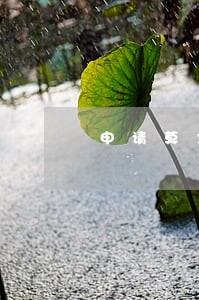 申请莫大法律系成功的概率大么 申请莫大法律系成功的概率大么