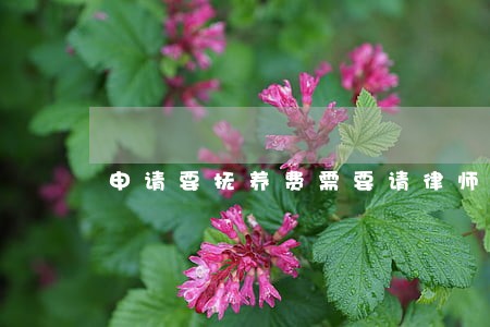 申请要抚养费需要请律师吗 申请要抚养费需要请律师吗