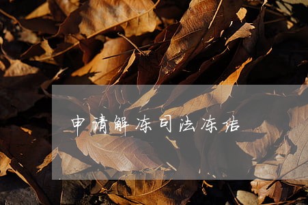 申请解冻司法冻结