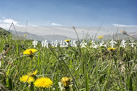 申请诉讼保全怎么拿房子担保 申请诉讼保全怎么拿房子担保