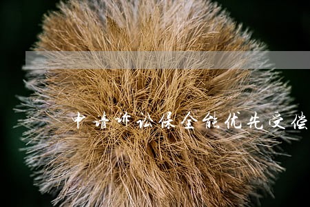 申请诉讼保全能优先受偿权 申请诉讼保全能优先受偿权