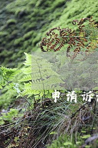 申请诉讼保全需要提供哪些证据 申请诉讼保全需要提供哪些证据