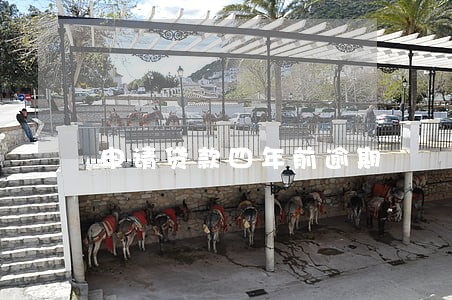 申请贷款四年前逾期 申请贷款四年前逾期