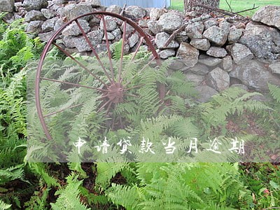 申请贷款当月逾期 申请贷款当月逾期