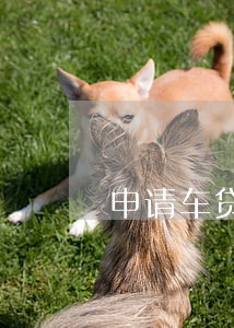 申请车贷说我逾期记录能信吗 申请车贷说我逾期记录能信吗