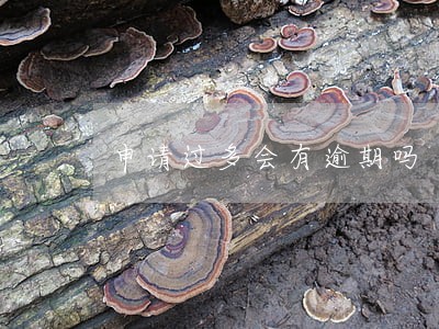 申请过多会有逾期吗