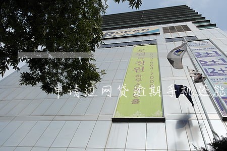 申请过网贷逾期手机还能用吗 申请过网贷逾期手机还能用吗