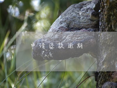 申请还款逾期 申请还款逾期