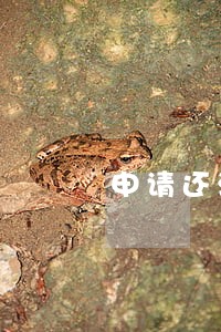 申请还清逾期账单后无法恢复
