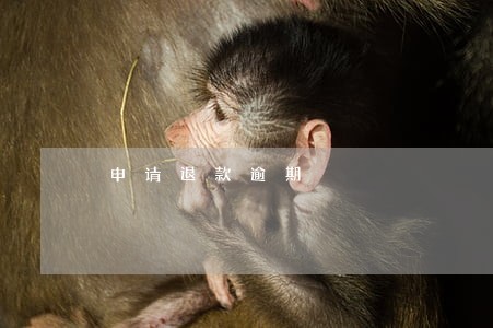申请退款逾期 申请退款逾期