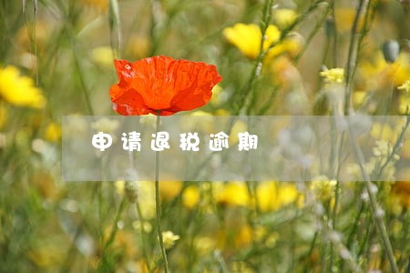 申请退税逾期 申请退税逾期