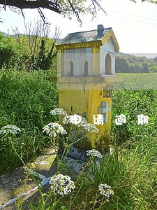 申请逾期不影响征信 申请逾期不影响征信