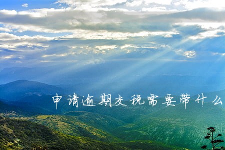 申请逾期交税需要带什么资料 申请逾期交税需要带什么资料