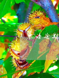 申请逾期付款利息 申请逾期付款利息