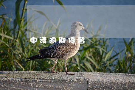 申请逾期停留 申请逾期停留