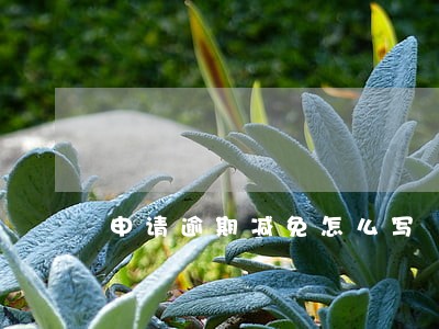 申请逾期减免怎么写