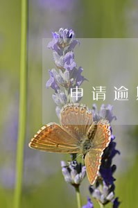 申请逾期利息减免 申请逾期利息减免